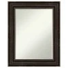 Amanti Art Stately Bronze Petite Bevel Bathroom Wall Mirror 24.25 X 30.25 In.
