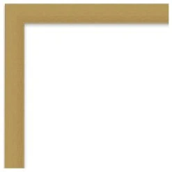 Amanti Art Grace Brushed Gold Narrow Non-Beveled Bathroom Wall Mirror - 20 X 26 In. 13 Amanti Art Grace Brushed Gold Narrow Non-Beveled Bathroom Wall Mirror - 20 X 26 In. -Laural Home Shop 4cb14f3e02bdddda 6193 w800 h800 b1 p0