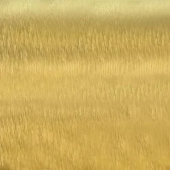 FGI-industries Foremost Reflections 24" X 30" Rounded Rectangle Mirror, Brushed Gold -Laural Home Shop 5341523f015f4df4 6613 w800 h800 b0 p0