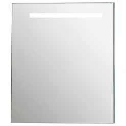 Eviva LLC Eviva Lazy 24" Mirror Medicine Cabinet And LED Lights
