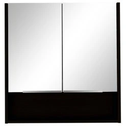 FM FURNITURE Ozark 24" Medicine Cabinet With Mirror, Black Wengue