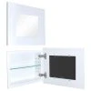 Fox Hollow Furnishings 14x11 Landscape Mirrored Medicine Cabinet, White