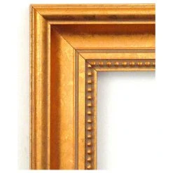 Amanti Art Townhouse Gold Wood Framed Non-Beveled Bathroom Wall Mirror 21.5 X 27.5 In -Laural Home Shop c041107502bdde18 5750 w800 h800 b1 p0