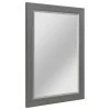 Head West, Inc. Head West 29.5 X 41.5 Gray Beveled Mirror