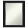 Amanti Art Eva Black Silver Non-Beveled Bathroom Wall Mirror - 23.5 X 29.5 In.
