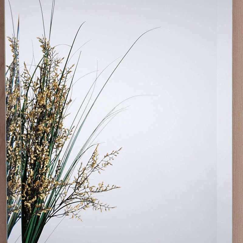 Creations By Alno, Inc. Alno MC4550 Reflections 15" X 25" Single Door Recessed Medicine - Glass 4 Creations By Alno, Inc. Alno MC4550 Reflections 15" X 25" Single Door Recessed Medicine - Glass - Image 2