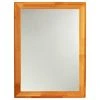 CHLOE Lighting, Inc. Chloe's Reflection Maple Finish Rectangular Framed Wall Mirror