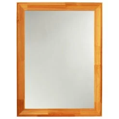 CHLOE Lighting, Inc. Chloe's Reflection Maple Finish Rectangular Framed Wall Mirror