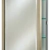 Afina Corporation Afina Basix 16"x22" Single Door Medicine Cabinets, Brushed Silver